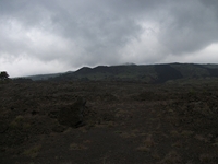 ova Gussonea-20110529 208
